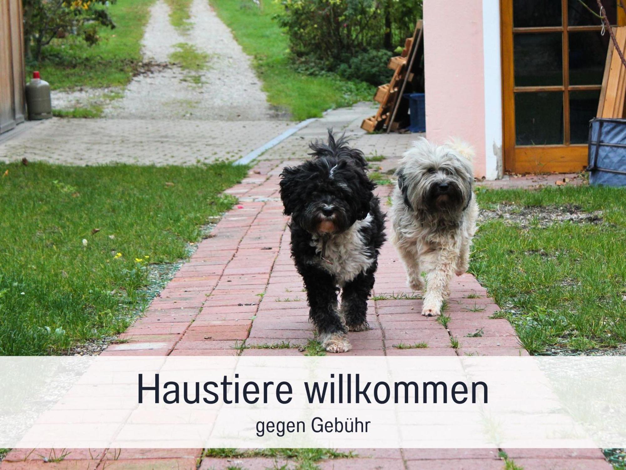 Seezeit Ferienwohnungen & Seminarhaus Am Ammersee Dießen am Ammersee المظهر الخارجي الصورة
